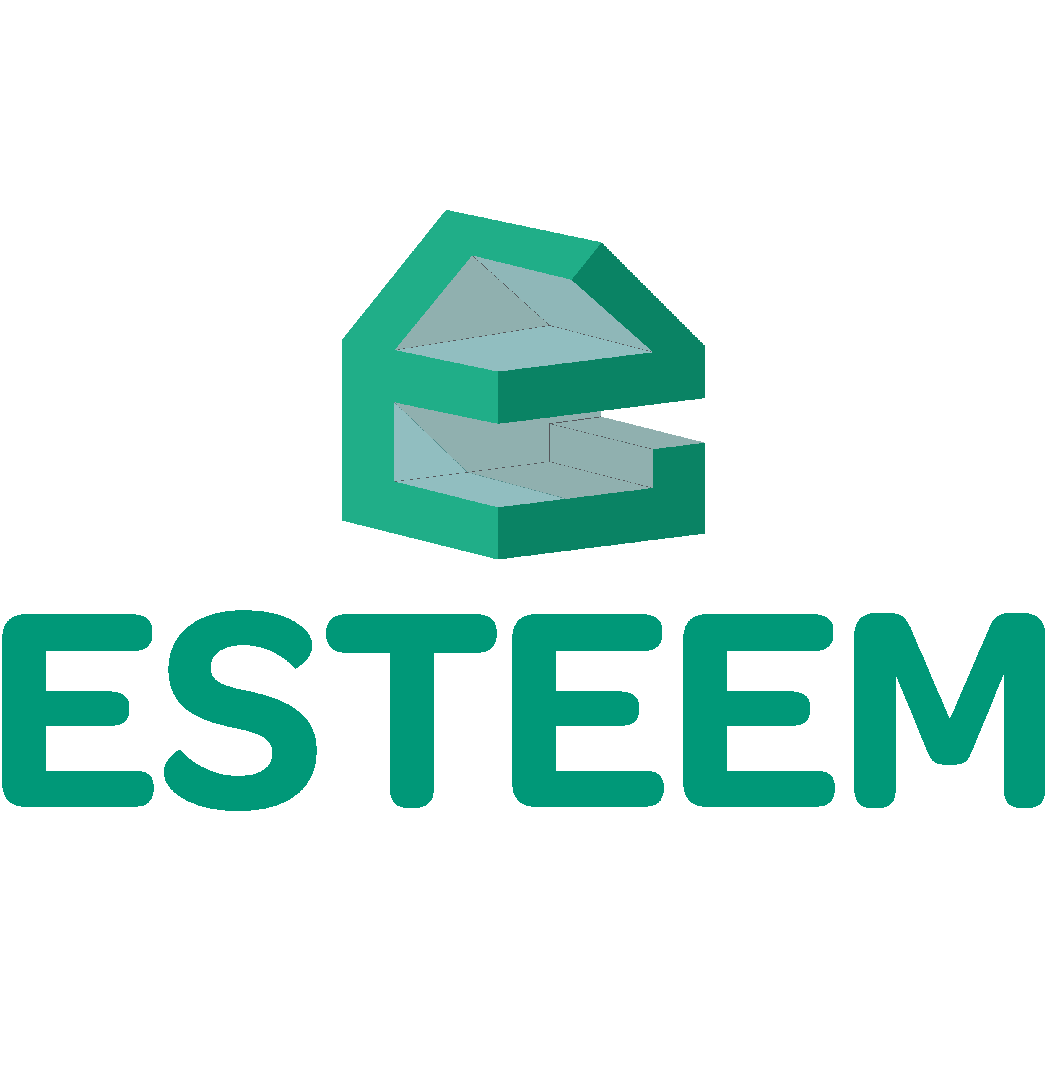 Team ESTEEM